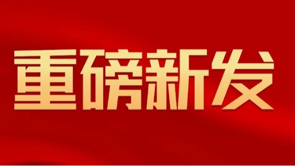 國內首創：扁線定子生產設備“新型扭線機”